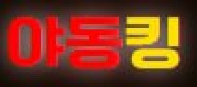 야동킹