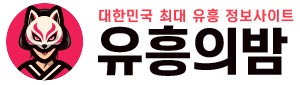 유흥의밤
