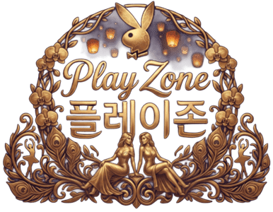 플레이존