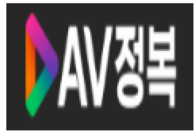 AV정복